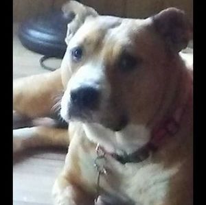 Meet your Posher, Christel